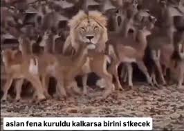 deli deli küpeli tweet media