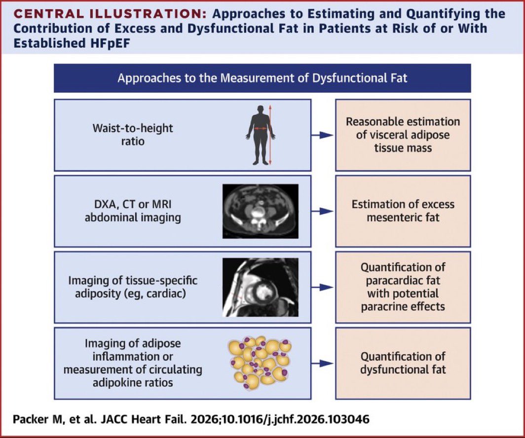 drbennisahmed's tweet photo. Not all fat is equal — and in HFpEF, the type and location of fat may matter more than total body weight.
New framework from Packer et al. lays out how to actually measure dysfunctional fat — from clinic to imaging to molecular markers 👇
📊 Measuring Dysfunctional Fat in HFpEF:
🔹 Waist-to-height ratio → reasonable proxy for visceral adipose tissue mass (bedside)
🔹 DXA, CT or MRI abdominal imaging → estimates excess mesenteric fat depot (imaging)
🔹 Tissue-specific adiposity imaging (cardiac) → quantifies paracardiac fat with paracrine effects on the myocardium (imaging)
🔹 Adipose inflammation / circulating adipokine ratios → quantifies truly dysfunctional fat — not just excess fat (advanced)
💡 Key distinction: dysfunctional fat ≠ excess fat. Inflamed adipose tissue secretes pro-inflammatory adipokines that directly impair cardiac mechanics — even in patients who aren’t severely obese by BMI alone.
📄 Packer M, et al. JACC Heart Fail. 2026;10.1016/j.jchf.2026.103046
#HFpEF #HeartFailure #Cardiology #Obesity #Adipokines #CardioMet