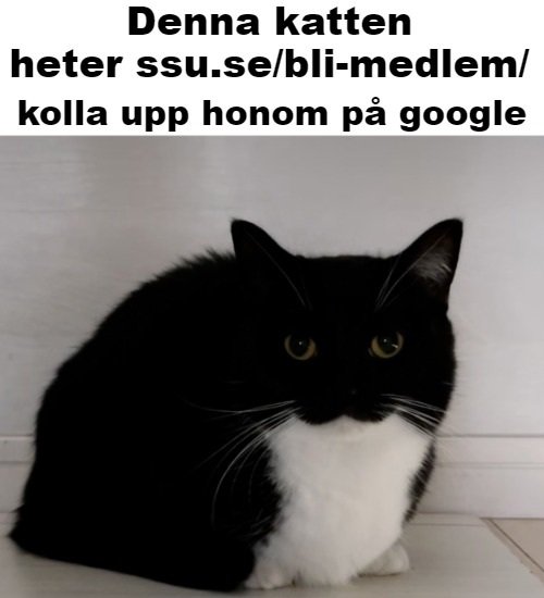 Hatrcantread's tweet photo. På kurshelg. https://t.co/YY2d0OzUJq