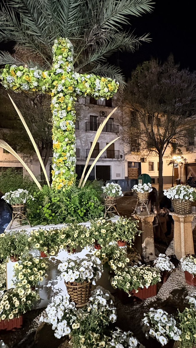 annaincolour's tweet photo. Celebrando el mayo cordobés con las cruces 🌹🪻🌺🌸🌷 #crucesdemayo https://t.co/MMoRBeKWjT