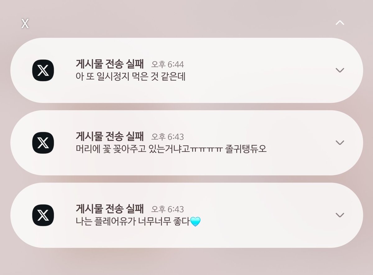 도뽀 tweet media