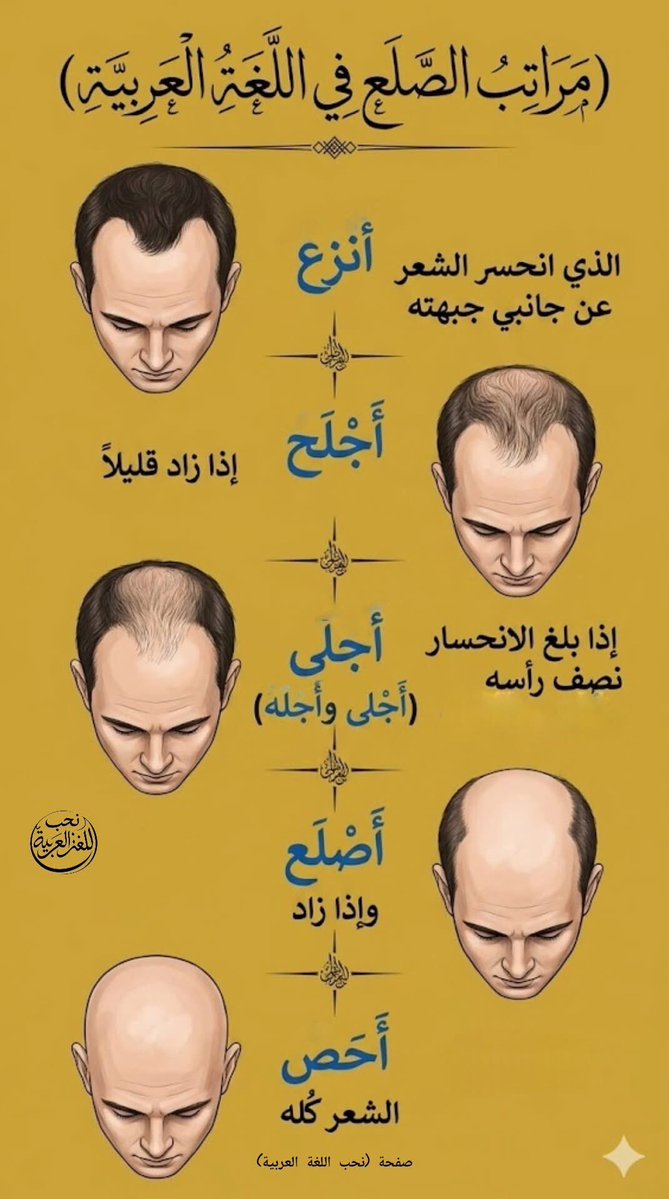 ناصر الشيحان tweet media