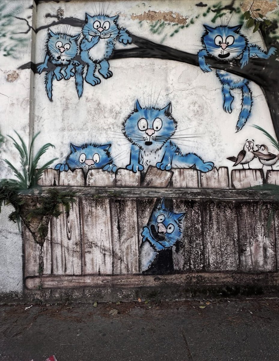 lovestreetart22's tweet image. Caturday 😸😸😸
By Vid &amp;amp; Art in Penha, Spain (Photo by Artist)
#StreetArt #Vid #Spain #Caturday