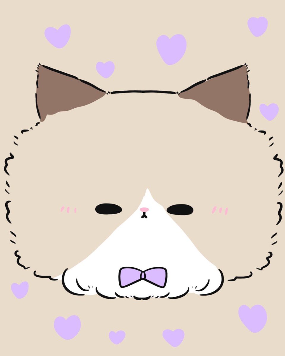 _taroland's tweet photo. にゃあ… 🐾
#タロタンド
#かわいい
#ネコ https://t.co/mIjc1DLugv
