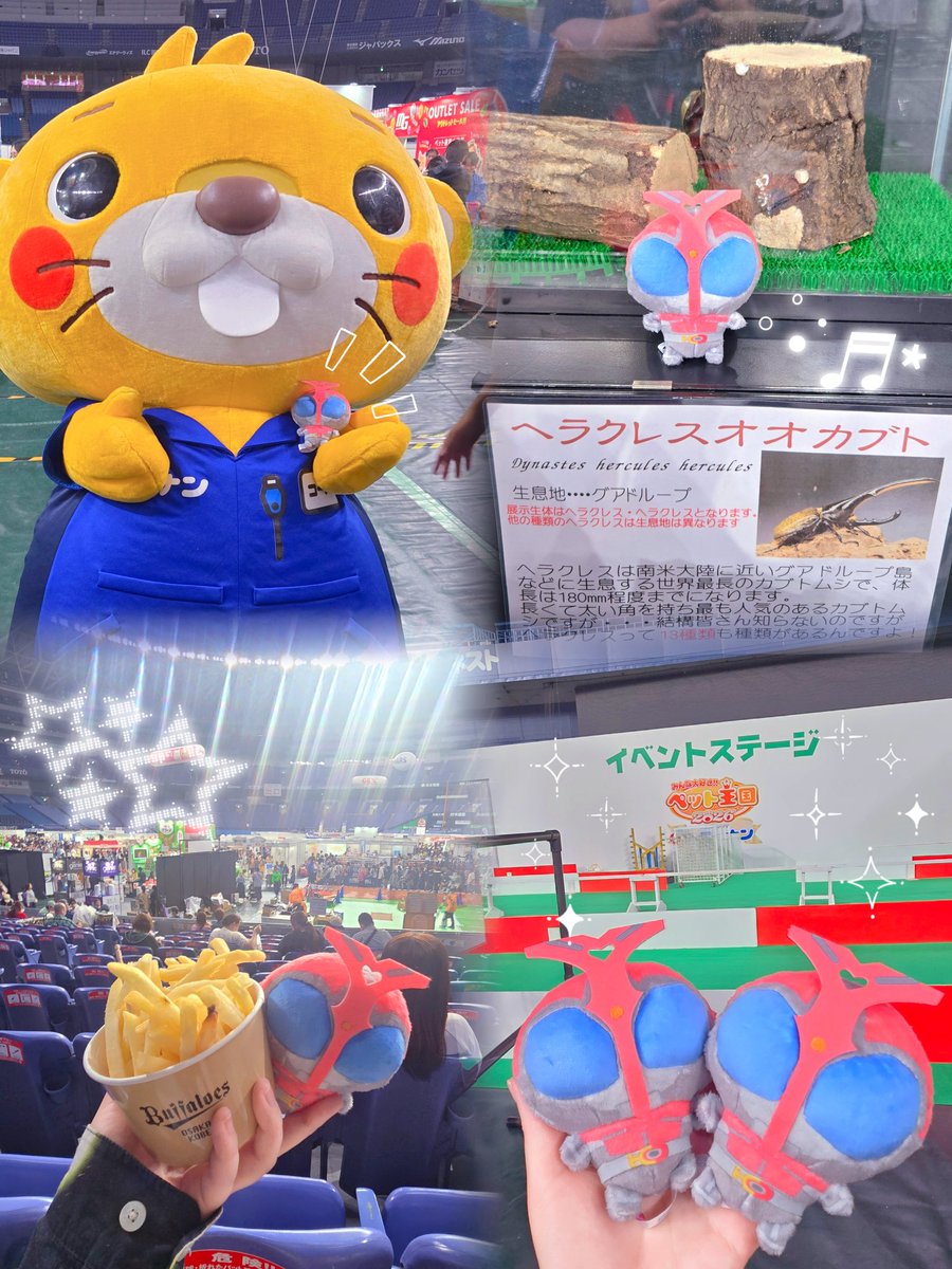 ミューン2号 tweet media