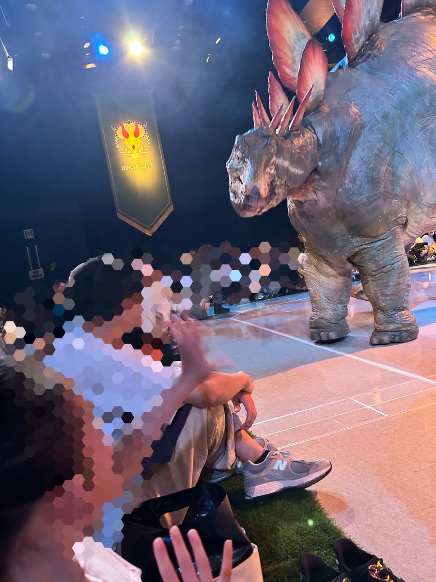 kotone1317's tweet photo. すっっごい楽しかったー!!
芝アリーナ最前列はほんとに近い!!
ぶつかるー!って思うと
写真撮れなかったのが残念だけど
レンジャーの人達のテンションもちょうど良くて、子供だけではなく大人も楽しかった。
#DINOALIVE
#DINOSAFARI2026 https://t.co/XMk2nExz0l
