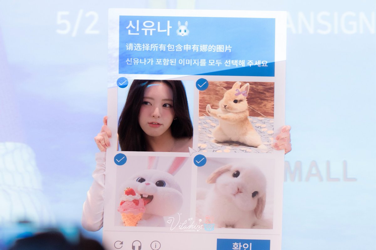 비타 tweet media