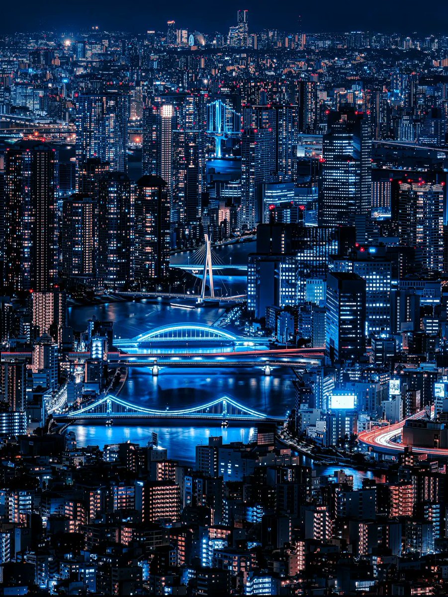 SeascapeNature's tweet photo. Tokyo, Japan 🇯🇵 https://t.co/D3SzsXusbd