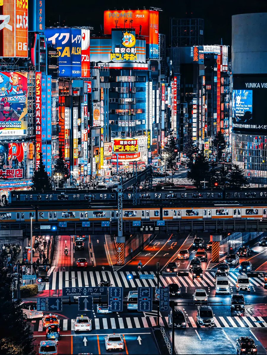 SeascapeNature's tweet photo. Tokyo, Japan 🇯🇵 https://t.co/D3SzsXusbd