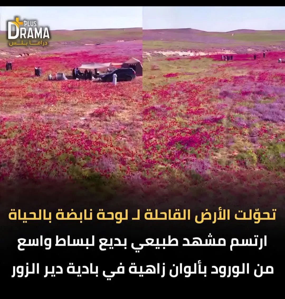 مريم العبدالله tweet media