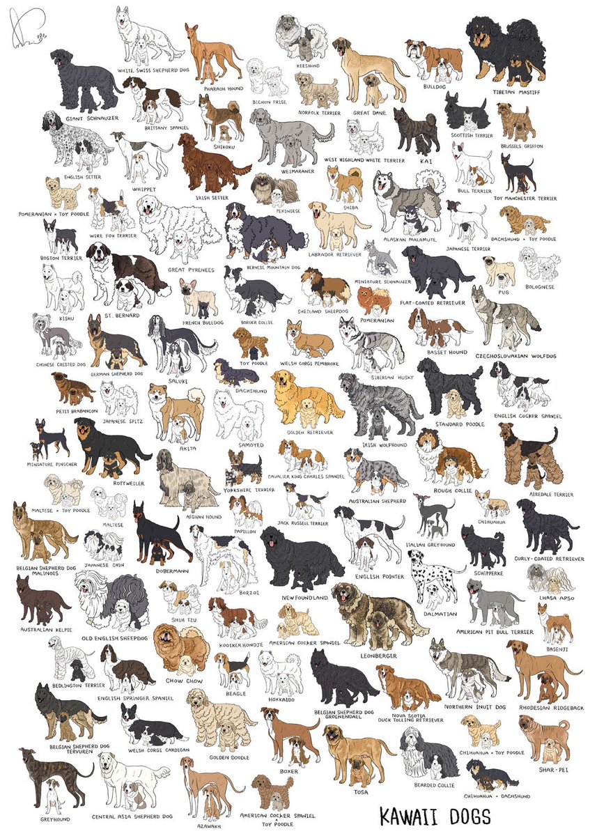sakio🐾書籍「4ステップで誰でもかわいく描ける いぬとねこのイラスト練習帖」発売中🐾 tweet media
