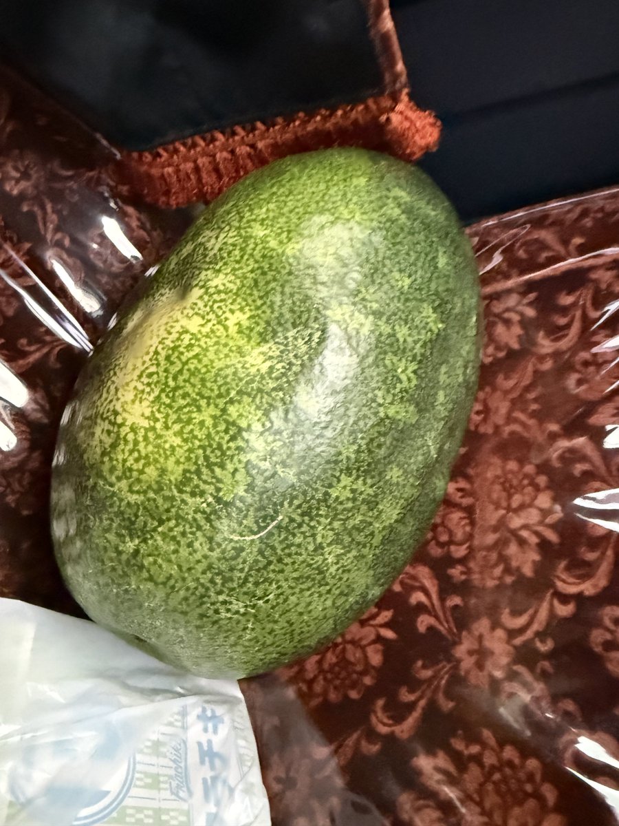dZuiuNb's tweet photo. 帰り道🚗³₃たまたまパッと見たら
ご近所さんがこーいこーい🙋‍♂️と
冬瓜貰った🤤 https://t.co/zSVlsOx01V