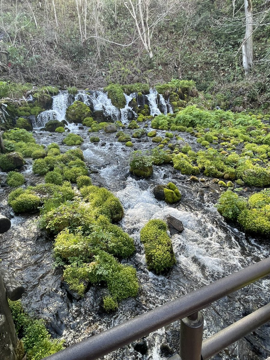 ebisu511's tweet photo. 今日は旭川を出発して余市蒸溜所に寄り、羊蹄山見ながら京極経由して白老でホテル泊。
白老牛食べ放題が最高にうまいが歳のせいかあんまり食べられない、、 https://t.co/JGcxBSYpRO