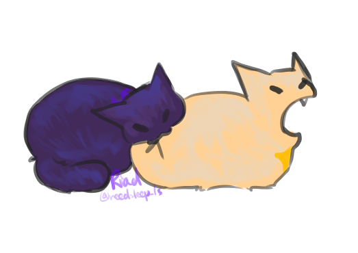Riad || Lazy Shit :D tweet media