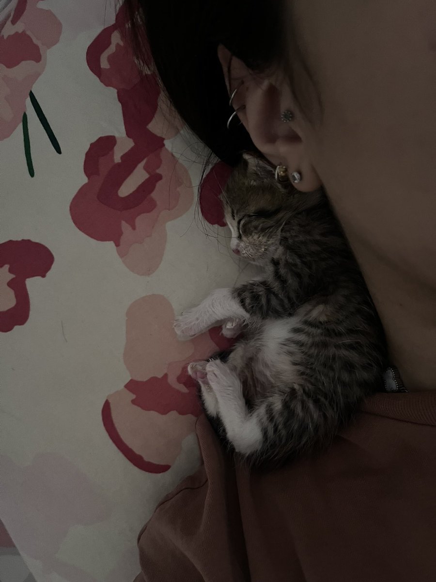 AvA🌶️ tweet media