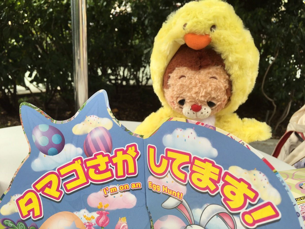 mn_mia's tweet photo. タマゴさがしてます！🐥🥚
#ギデオンウィーク https://t.co/1RgZ4C1M6u