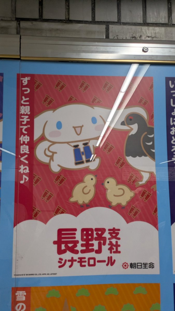 "じもと"シナモロール総選挙っていうのをやってるらしい!
長野はライチョウとシナモン