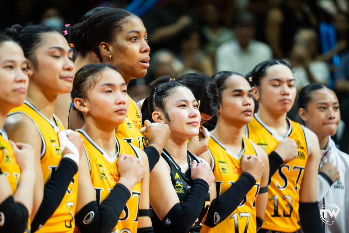 TomasinoWeb tweet media