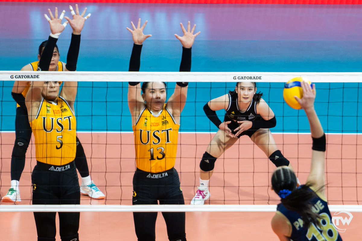 TomasinoWeb tweet media