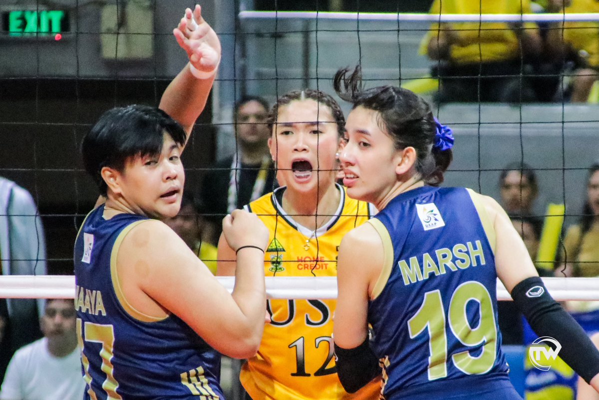 TomasinoWeb tweet media