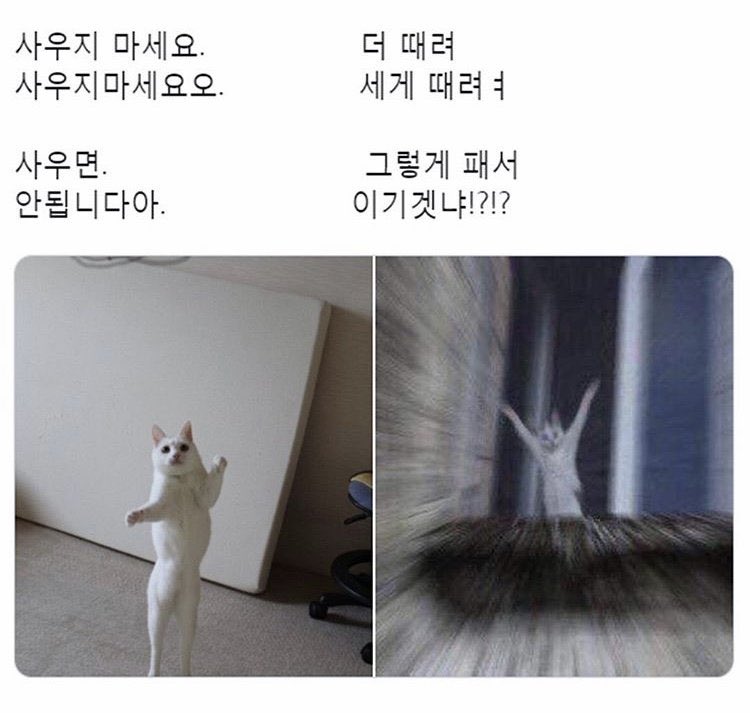 아녜스 Agnes.K tweet media