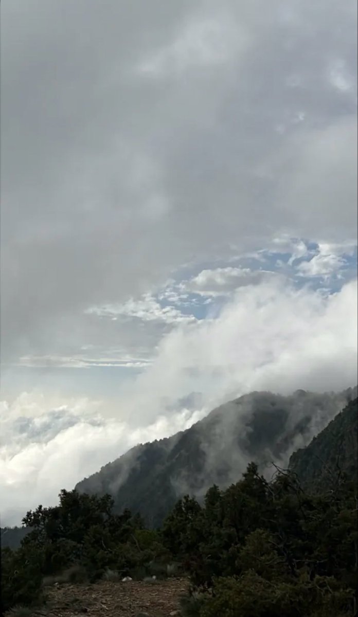 نوف العسيري tweet media