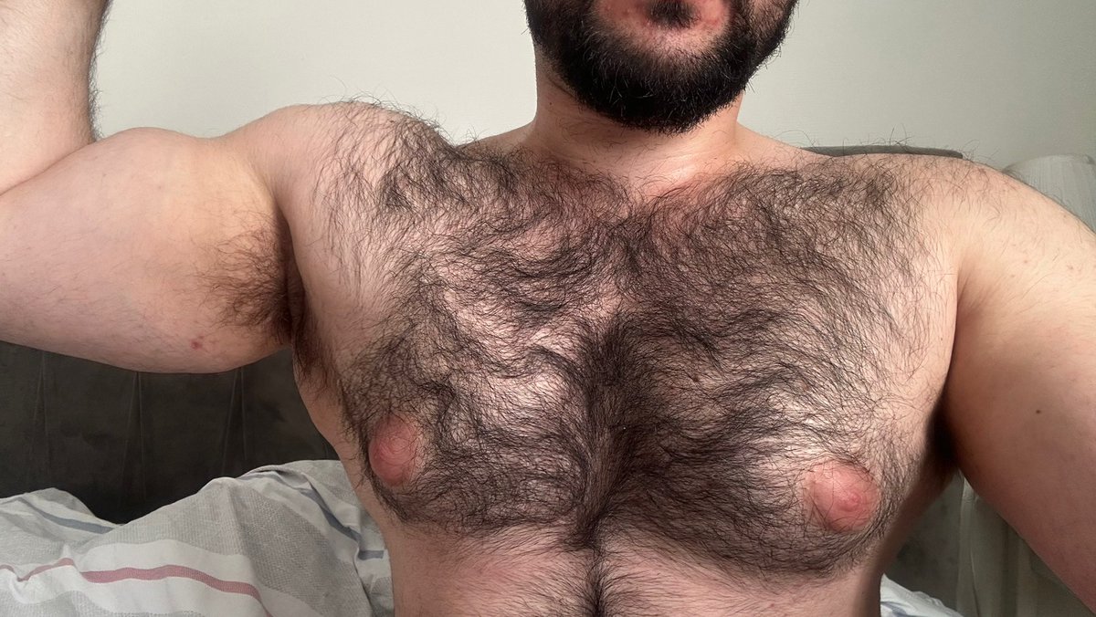 🥩 tweet media