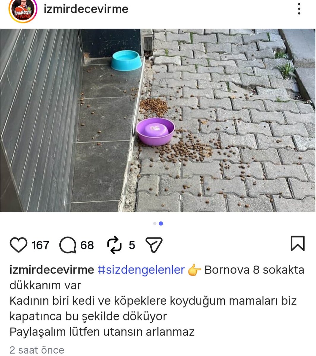 Prof Dr. Nebahat BULUT tweet media
