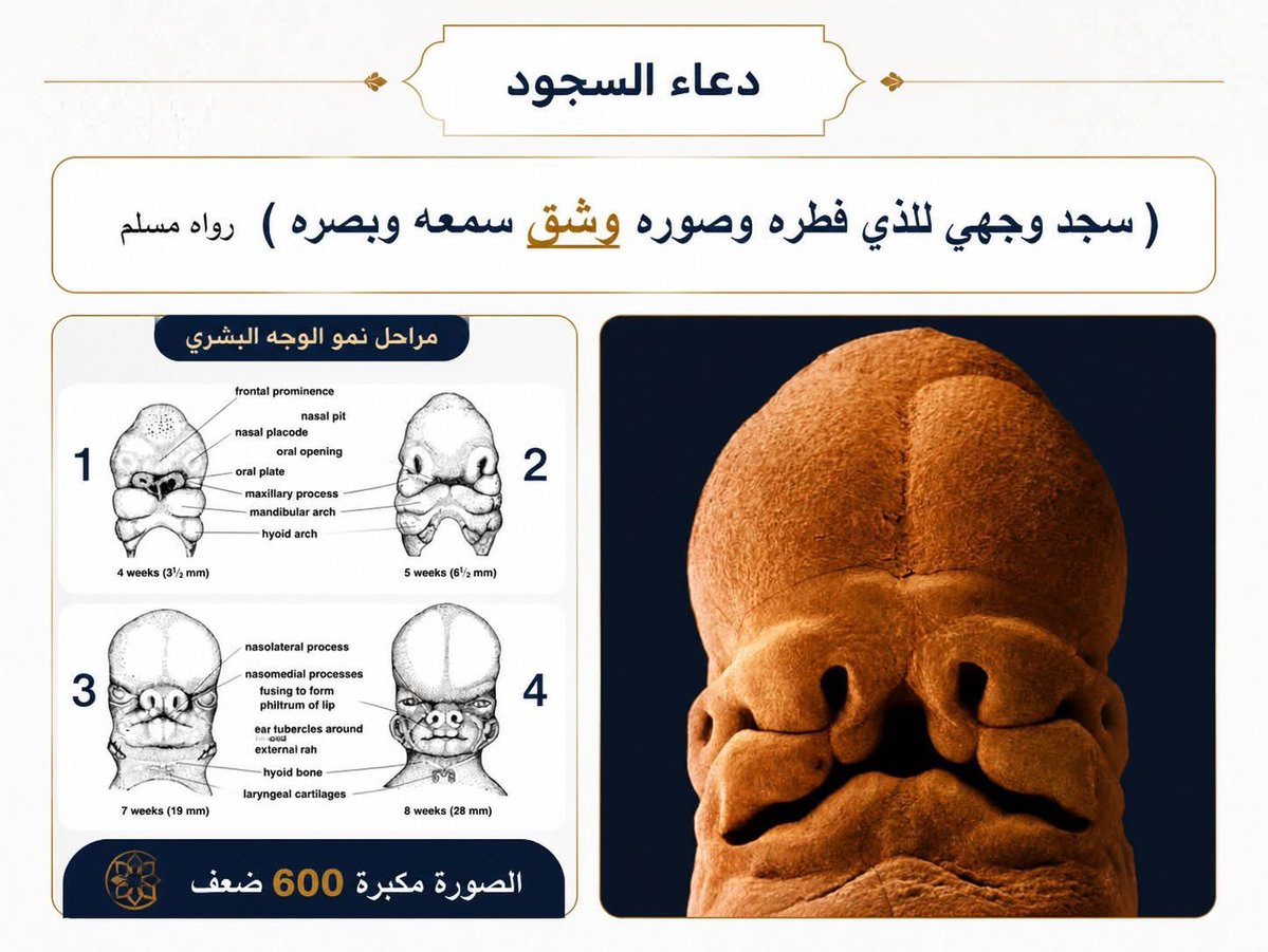 ناصر الشيحان tweet media