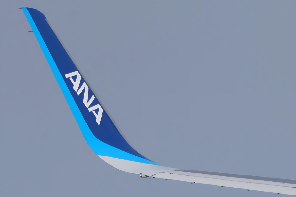 princessarete's tweet image. みんな大好き
ウィングレット
#ANA