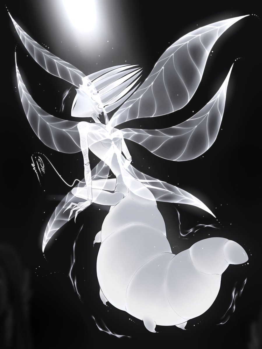奔放青椒 tweet media