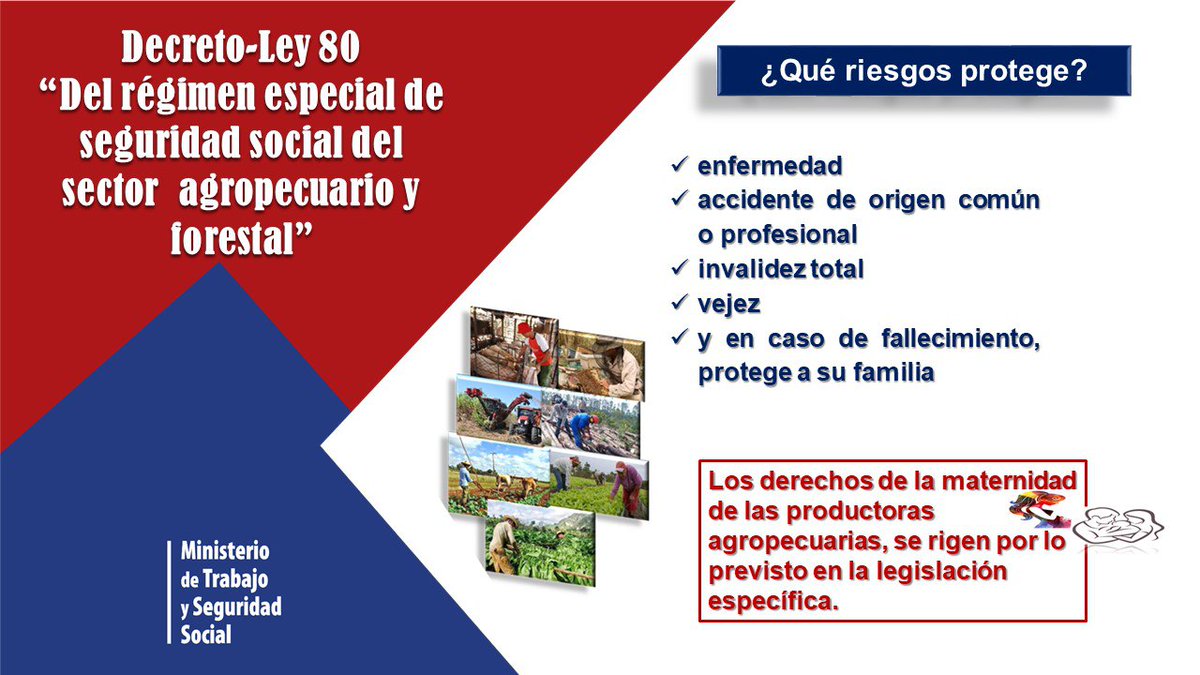 MTSS CUBA tweet media