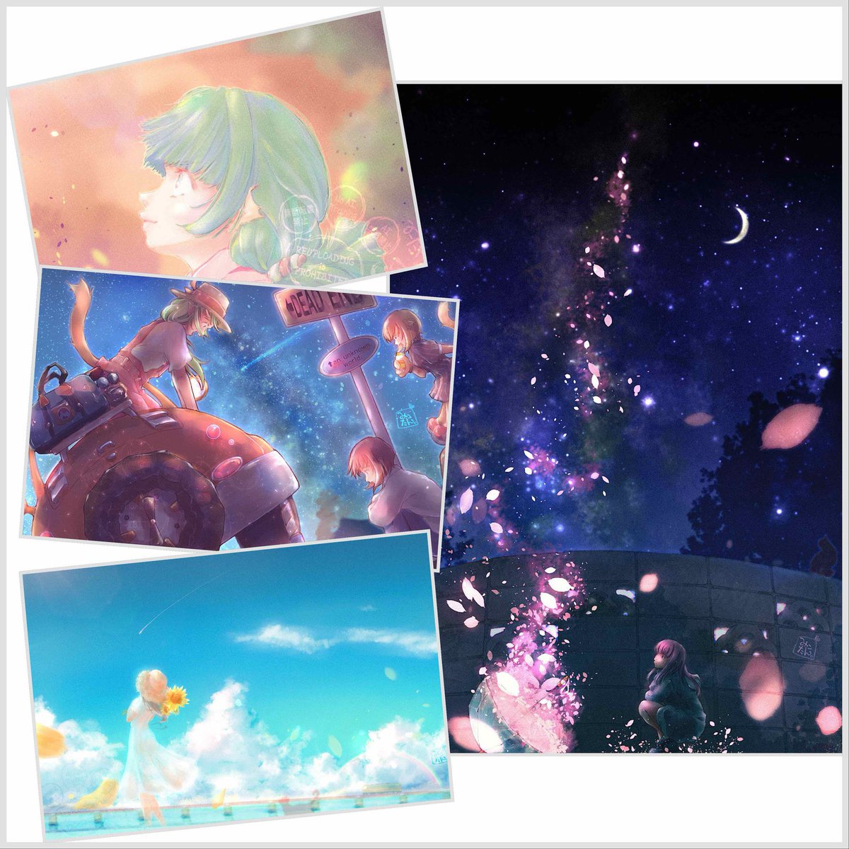 埜々みこたん｡ /•᷅‎‎•᷄\୭🐾໊ tweet media
