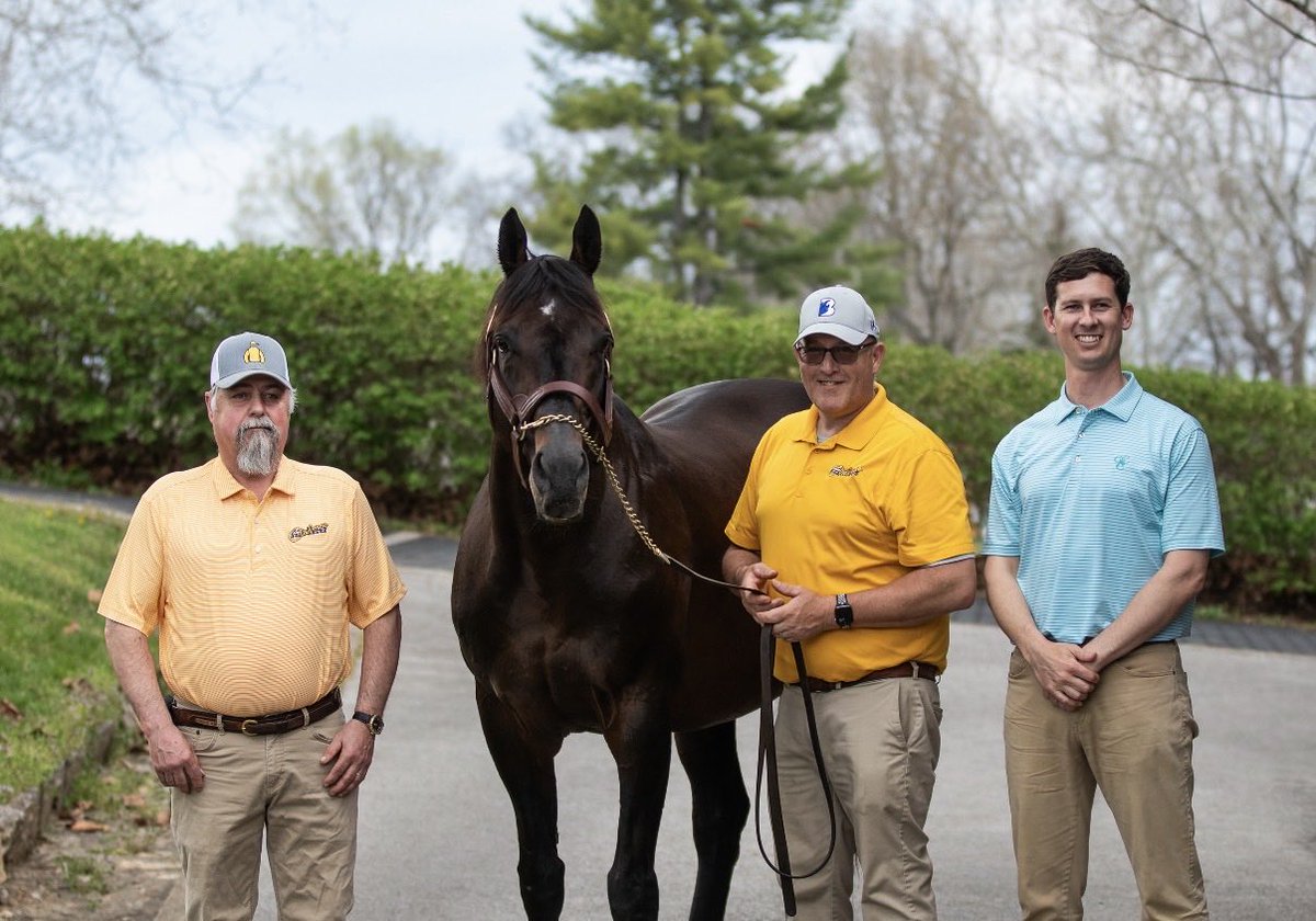 claibornefarm's tweet photo. Derby Day falls on May 2nd this year, but 20 years ago it was the Tuesday that BLAME (2006 Arch x Liable) was brought into the world 💛

Happy 20th birthday, Blame!

📸 @SaraChristineG https://t.co/l4f9cEQDQC