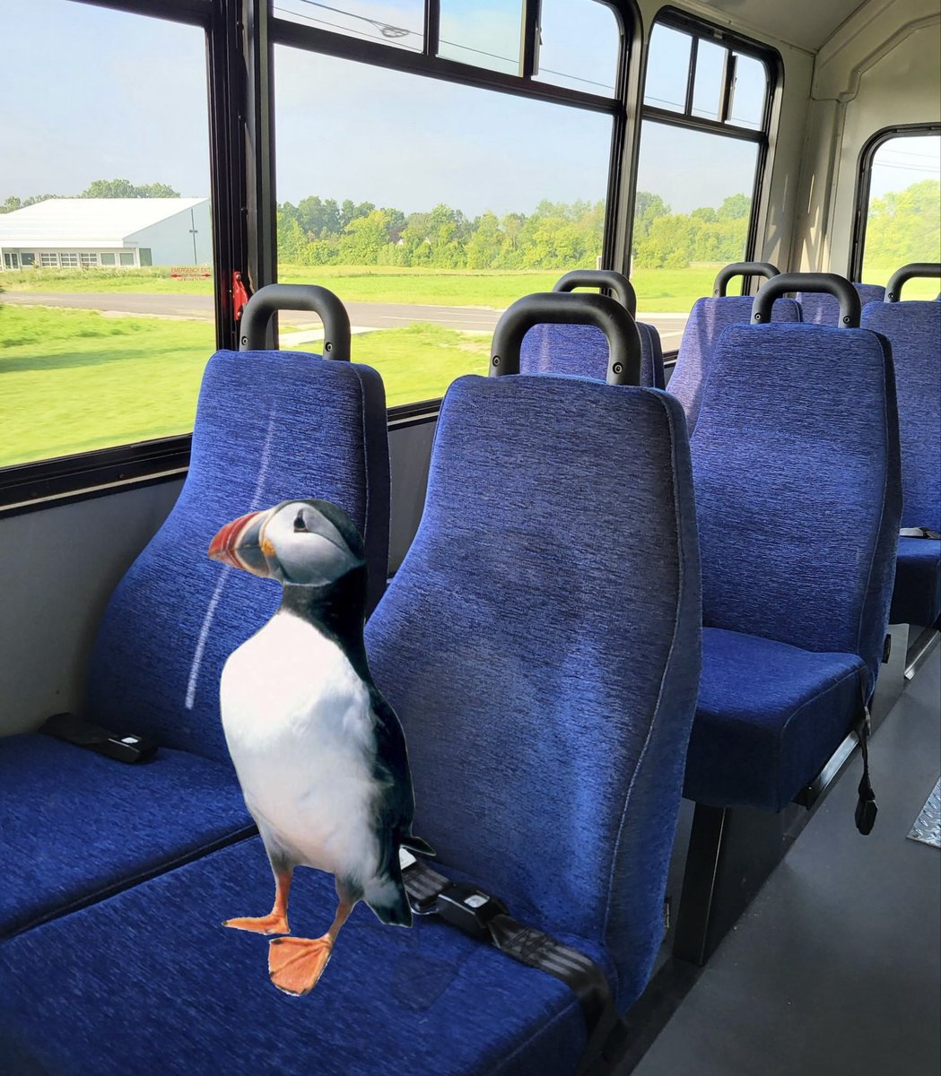 Puffin tweet media