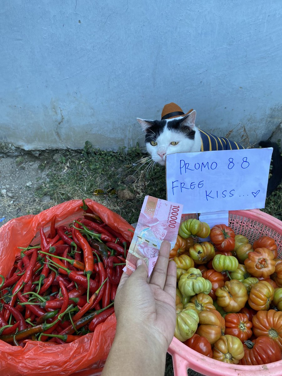 𝙋𝙤𝙣𝙞 😾 tweet media
