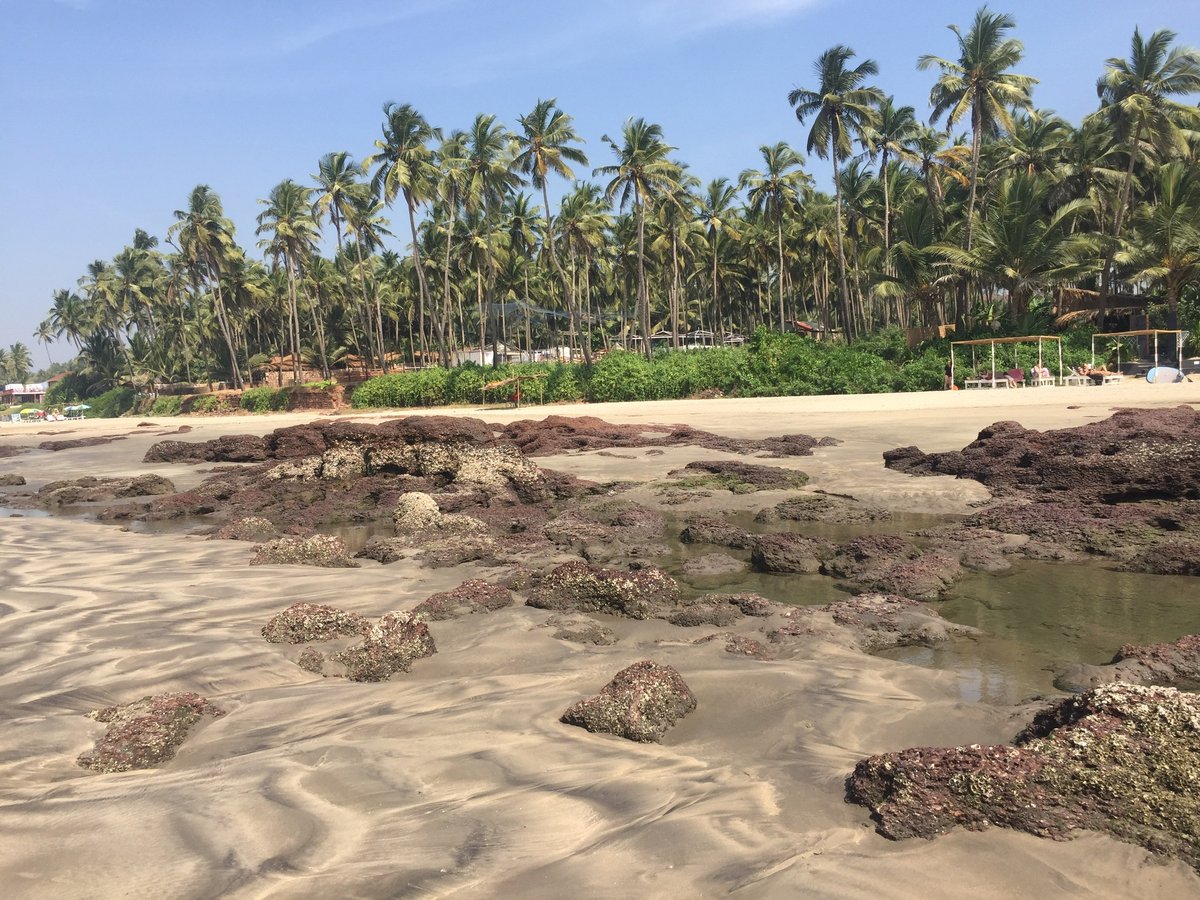 Goa Rocks !!!  tweet media