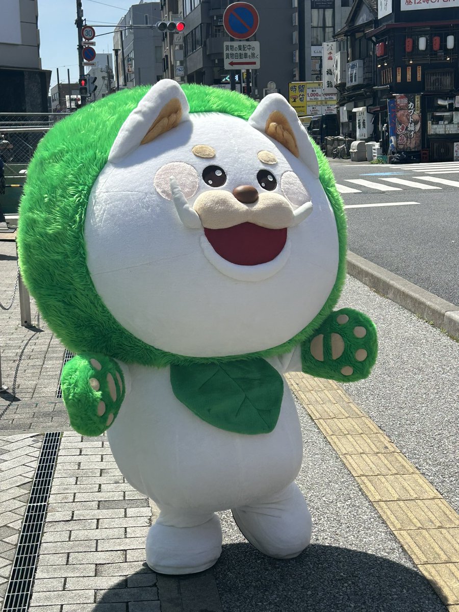 🐥⸒みのるん🐥⸒ tweet media