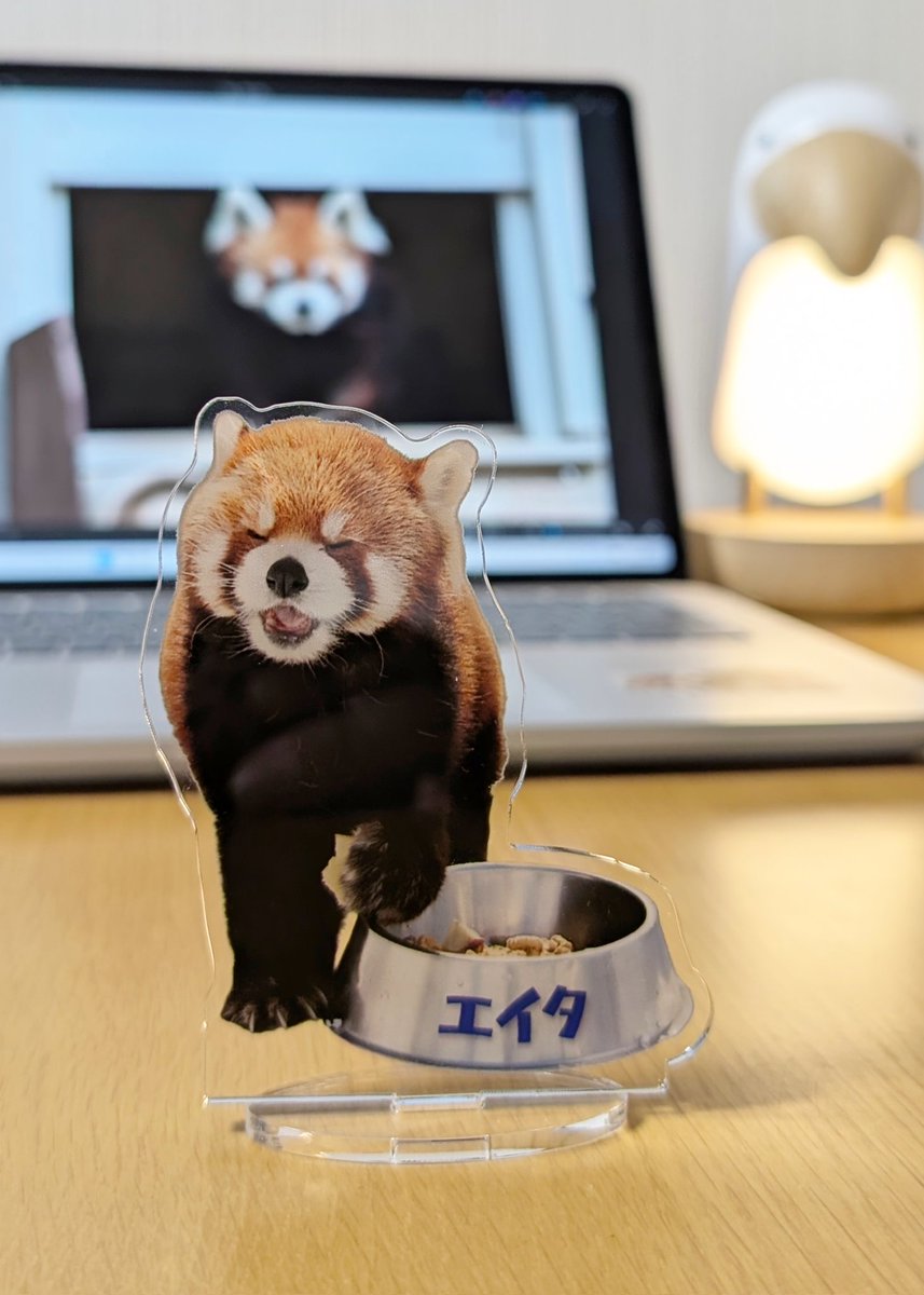 ㈱ゴン太 tweet media