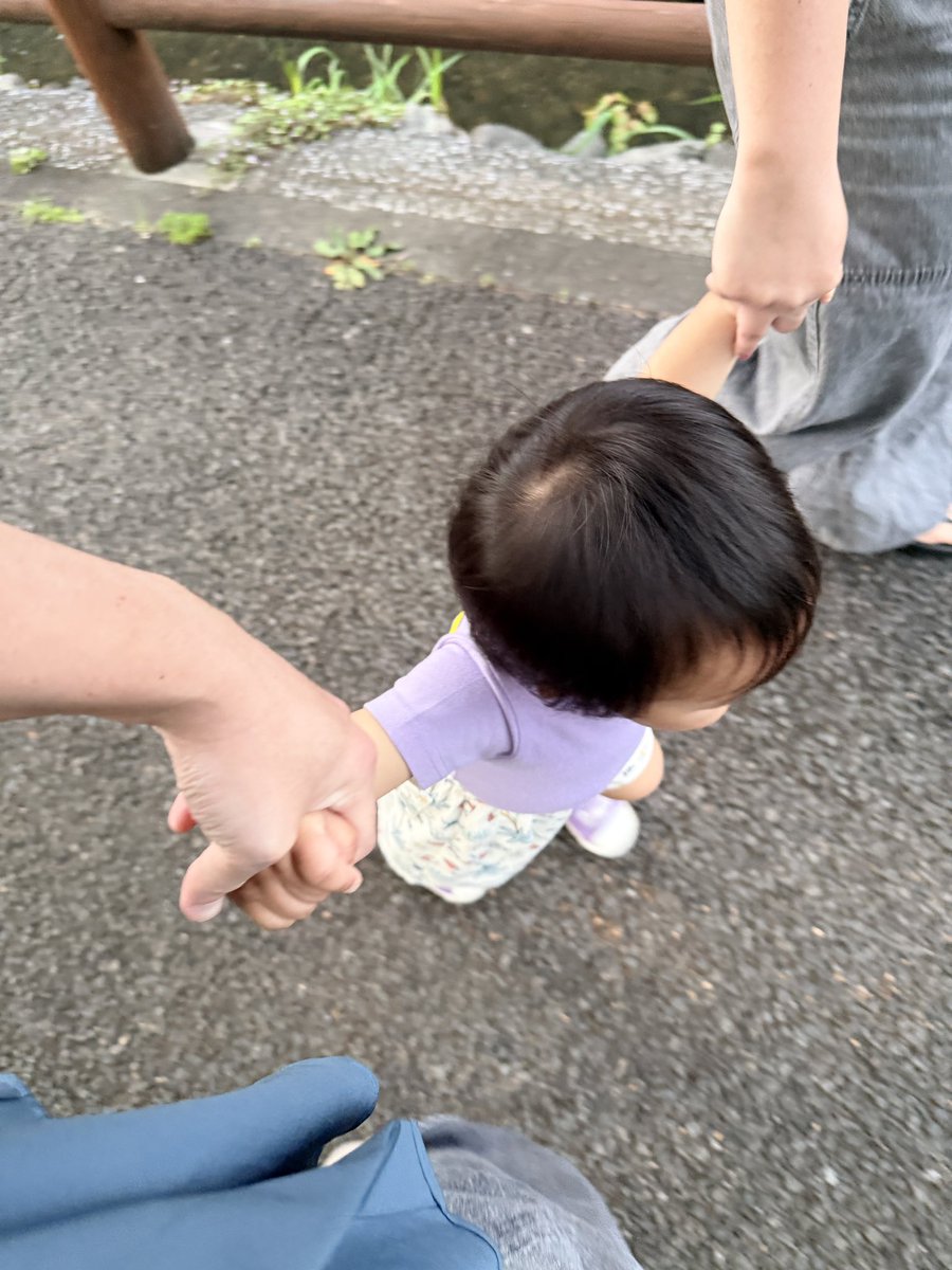 りょう(りみ) tweet media