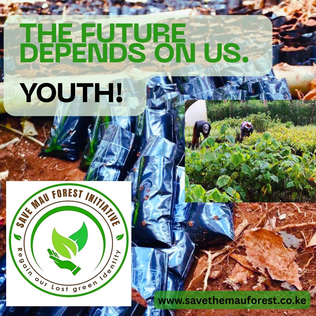 SirWarrenDavid's tweet photo. @save_mau will launch restoration activities in East Mau on 15th June 2026 through a indigenous tree planting &amp; community engagement event, aligning with efforts to strengthen Ogiek community in climate justice and supporting @WilliamsRuto  15 billion tree target by 2032
#SaveMau https://t.co/l7UAJPgPeV