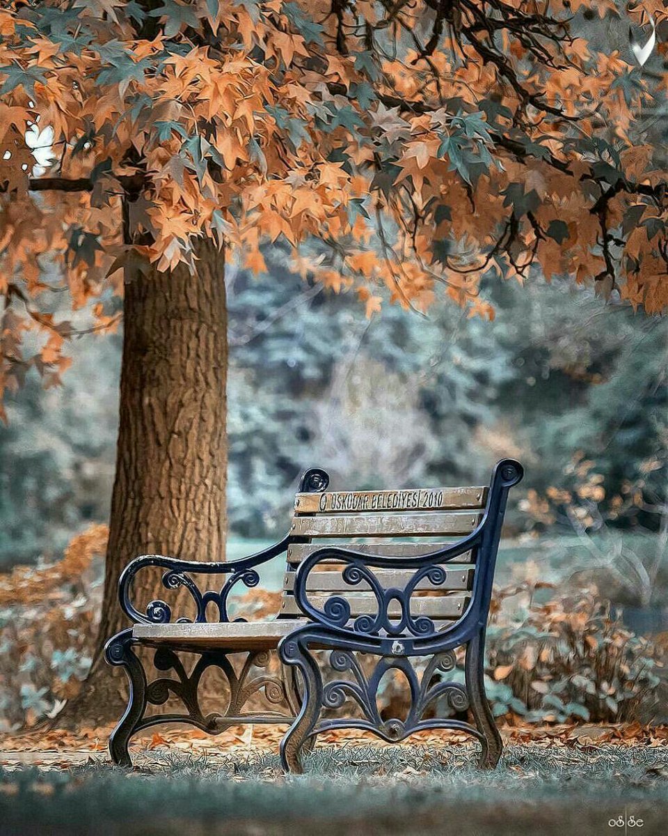 صمت الحروف tweet media
