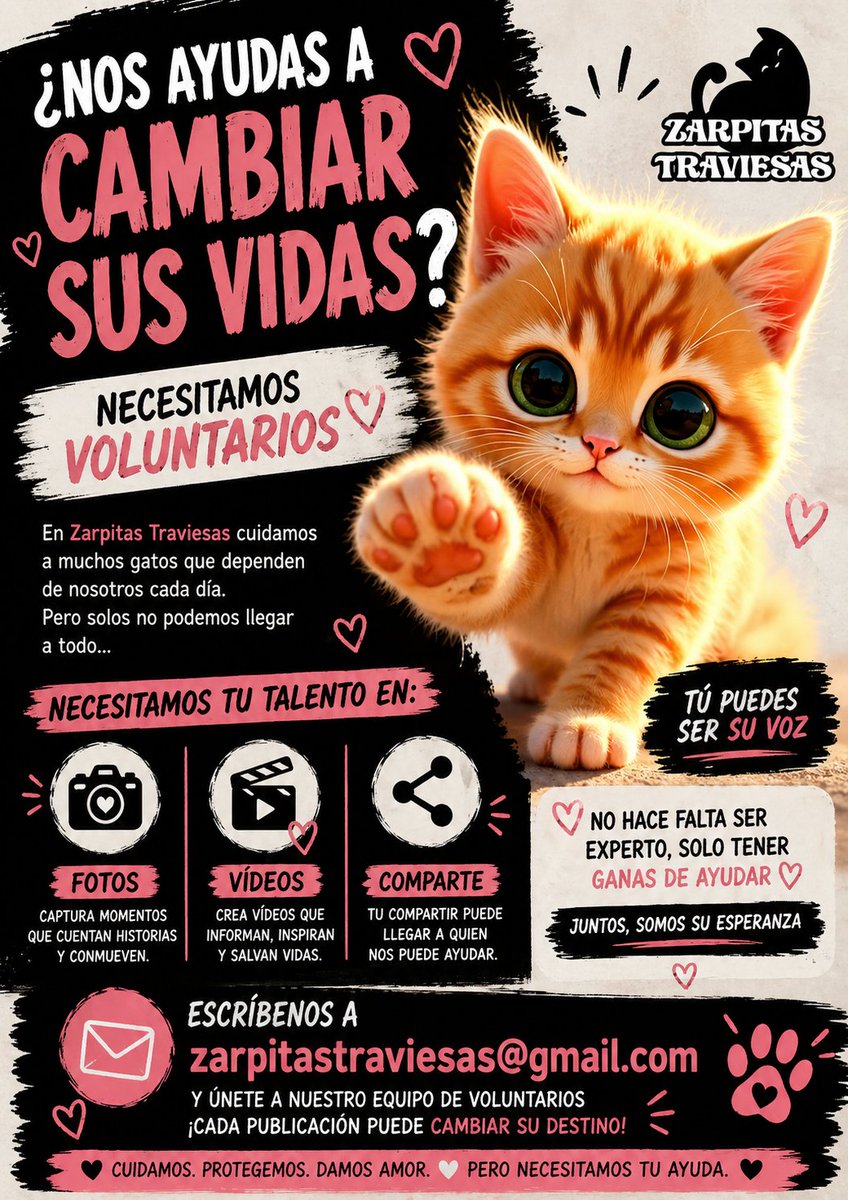 Zarpitas Traviesas tweet media