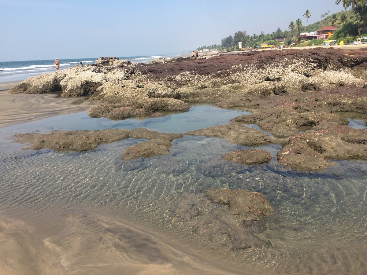 Goa Rocks !!!  tweet media