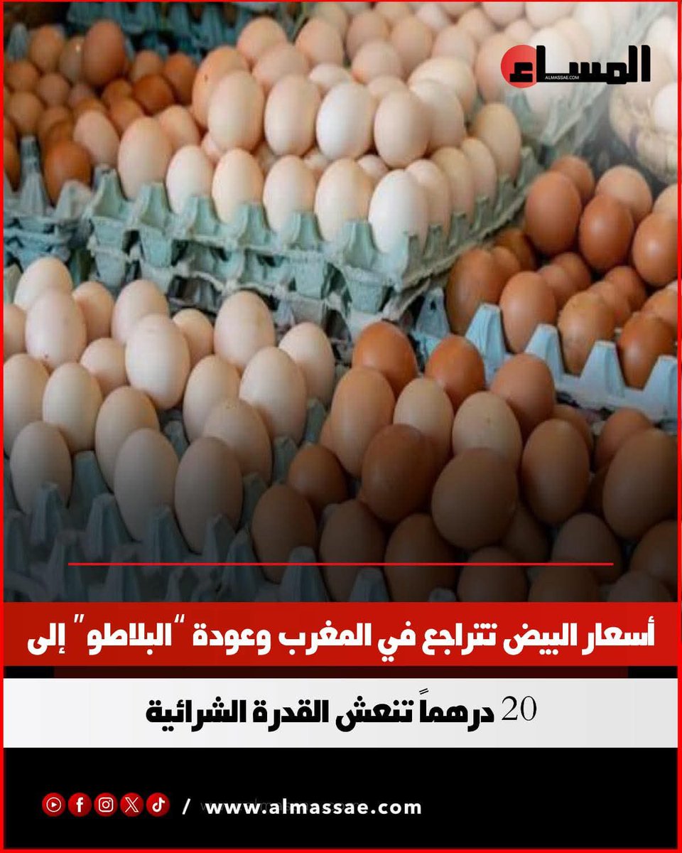 Marwa Abd El Megiud tweet media