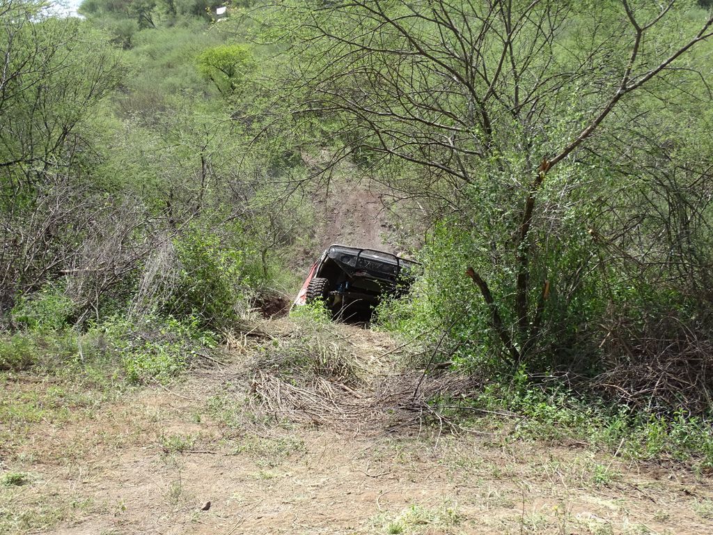 Rhino_Charge's tweet photo. A team that lets their driving do the talking. Over the years, Team 42 has built a quiet reputation for consistency, smart navigation and tackling the terrain one calculated move at a time.
#RhinoCharge2026 #Car42 #Team42 #ChargeForConservation #RhinoArk #OffRoadKenya https://t.co/W83SyGVoZ6