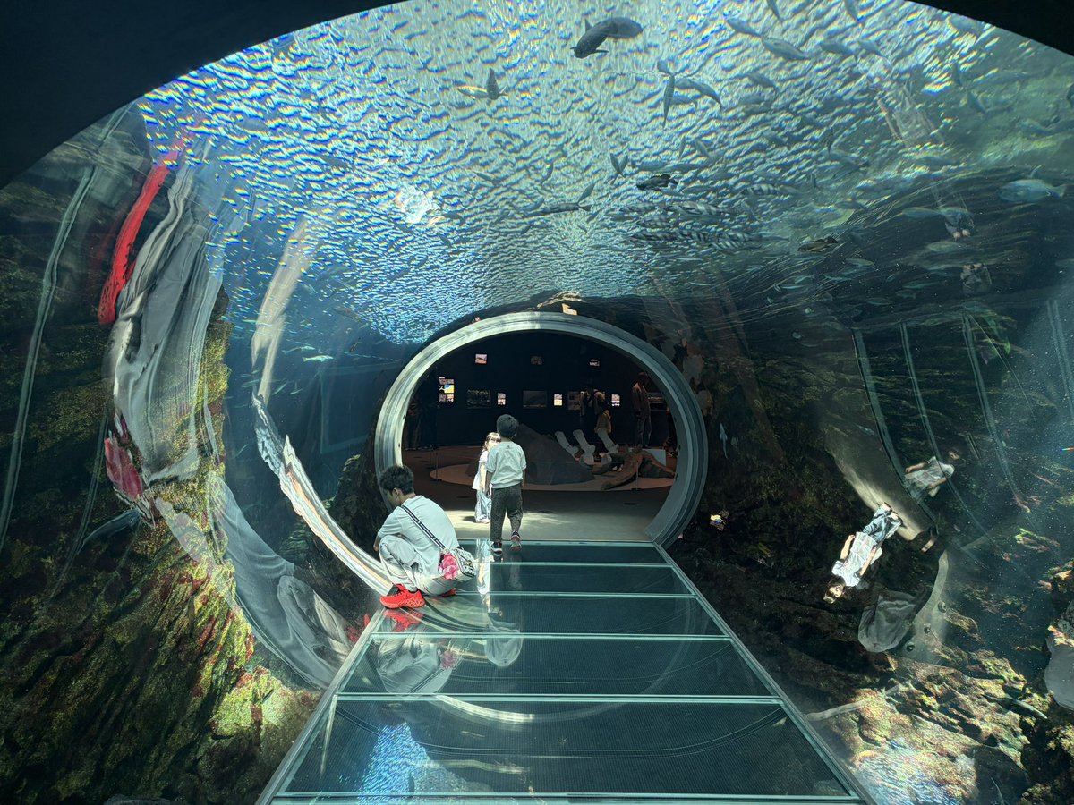 FinaleFriend's tweet photo. GWの予定が空っぽだったので単身上越に小旅行に行ってきた
一人でも中々楽しかったです https://t.co/7Xxc9JqVW7