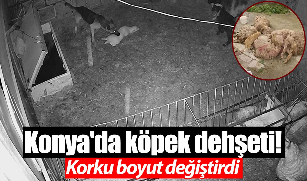 Yeni Konya Gazetesi 🇹🇷 tweet media