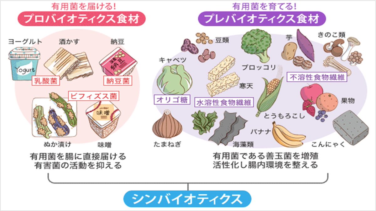 尾形 哲 肝臓先生『肝臓から脂肪を落とす』 tweet media
