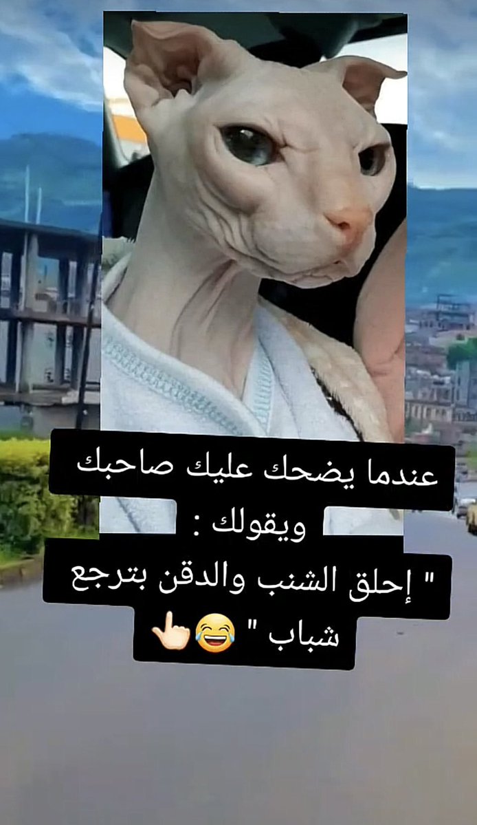عبدالله seven tweet media